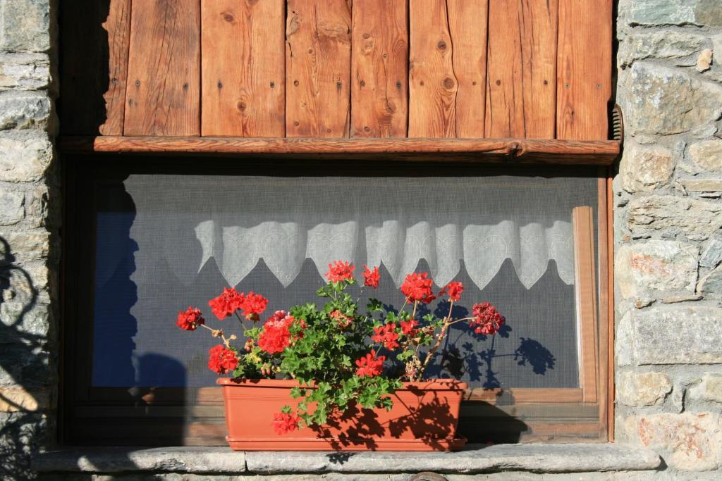 B&B Lo Tatà Fenis Extérieur photo